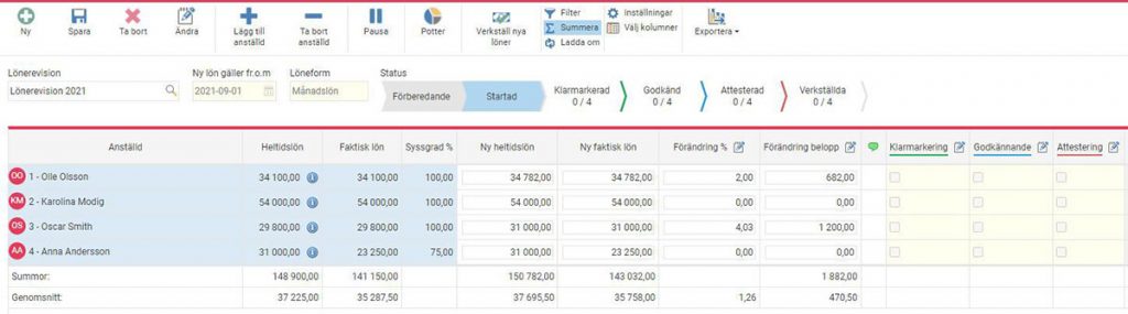 Lönerevision - Flex HRM